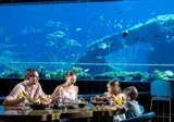 The Land of Legends Kingdom Hotel foto 14