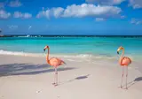 Cruise-Only Bonaire & Caribische Parels foto 4