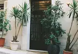Shila Athens foto 9