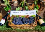 Cultuur en wijn in Piemonte, Mondovì foto 18