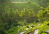 The Ultimate Java & Bali Experience foto 2