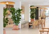 Copaiba by Honne Hotels - Adults Only foto 23