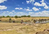 Explore the Great Nature of Tanzania foto 3