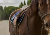 Il Borro foto 5