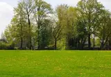 Buitenplaats in den Olden Bongerd foto 11