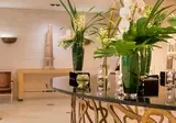 Hyatt Regency Hesperia Madrid foto 27