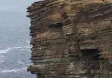 Orkney en Shetland Eilanden foto 22