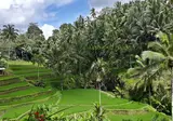 The Great Sumatra & Bali Adventure foto 4