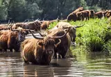 Hotel Biesbosch foto 14