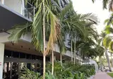 The March Hotel foto 9