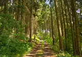 Thüringen, Saksen en Brandenburg op het gemak foto 5