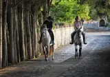Sa Bassa Rotja Ecoturisme foto 30