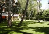 Albergo Mediterraneo foto 15