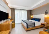 Sidera Kirman Premium foto 30