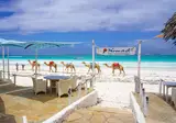Nomad Beach Resort foto 18