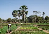 8 daagse combinatiereis Beleef het échte Gambia foto 3