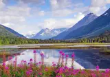 Explore the Wilderness of Alaska & Yukon foto 4