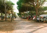 Torre Del Porticciolo Glamping Village foto 14