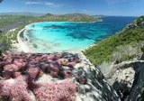 Corsica op het gemak foto 8