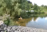 Camping Donnersberg foto 4