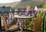 Ferienresidenz Brauneberger Hof foto 17