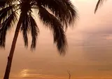 Nora Beach Resort & Spa foto 4