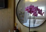 Dokos Studios foto 10