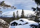 Skistar Lodge Trysil - Hotel foto 3
