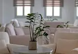 Yiannaki foto 22