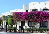 Verginia Sharm Resort foto 11