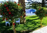 Mastorakis Hotel & Studios foto 8