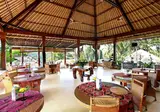 Nandini Jungle Resort & Spa foto 29