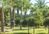 Lonicera World Hotel foto 27