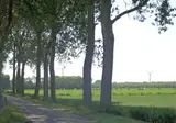 Camping De Lage Werf foto 15