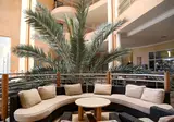 Hotel Eden Star foto 12