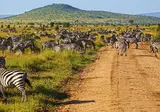 13 daagse safari Ritme van Serengeti & Zanzibar foto 5