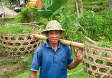 Ontdek Java en Lombok foto 13