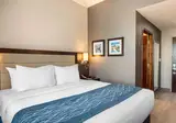 Comfort Inn Prospect Park-Brooklyn foto 21