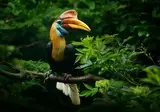 Avontuurlijk Maleisië foto 11