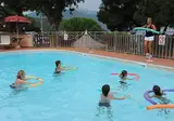 Scaglieri foto 11