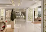 Airotel Stratos Vassilikos foto 4