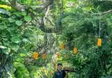 Mahagiri Villas Sanur foto 30