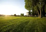 Villa Campestri Olive Oil Resort foto 14
