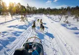 8 daagse excursiereis Nangu Wilderness Week foto 1