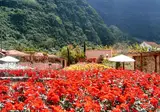 Pestana Quinta do Arco Nature & Rose Garden foto 6