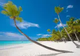 Startpakket Zanzibar foto 4