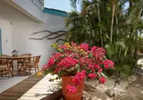 Paradera Park foto 12