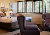Witte Berken Natuurhotel foto 9