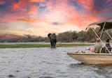 Fly In Luxury Safari Botswana foto 3
