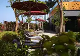 Bohemia Suites & Spa foto 17